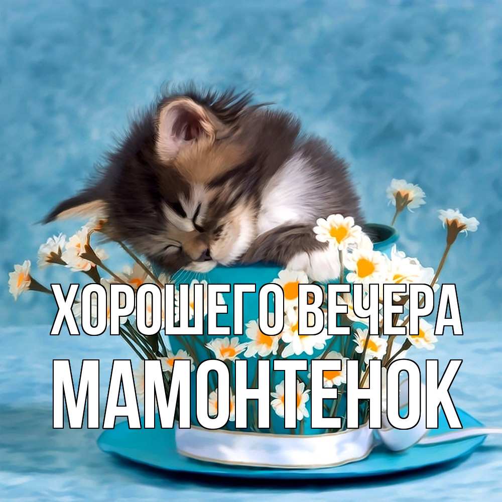 Картинка Хорошего вечера, мамонтенок