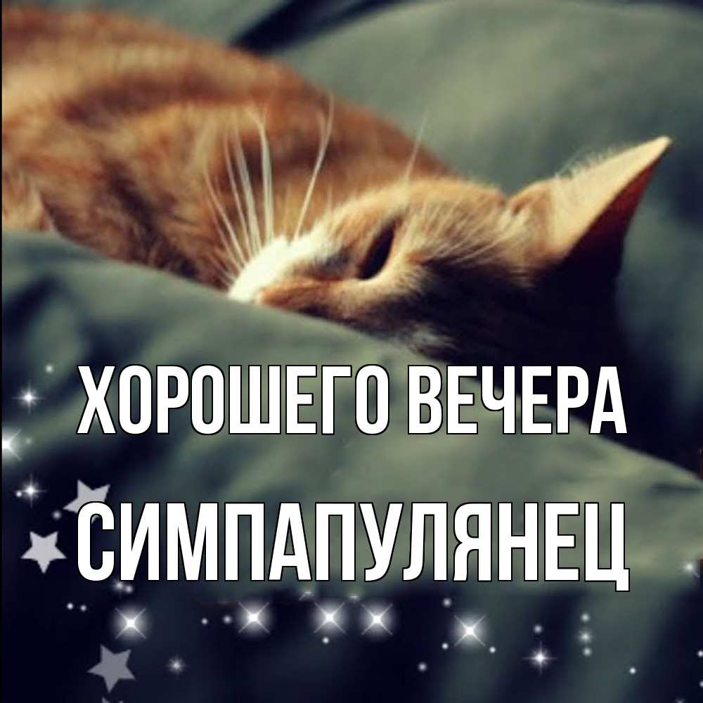 Открытка с именем, симпапулянец, Хорошего вечера