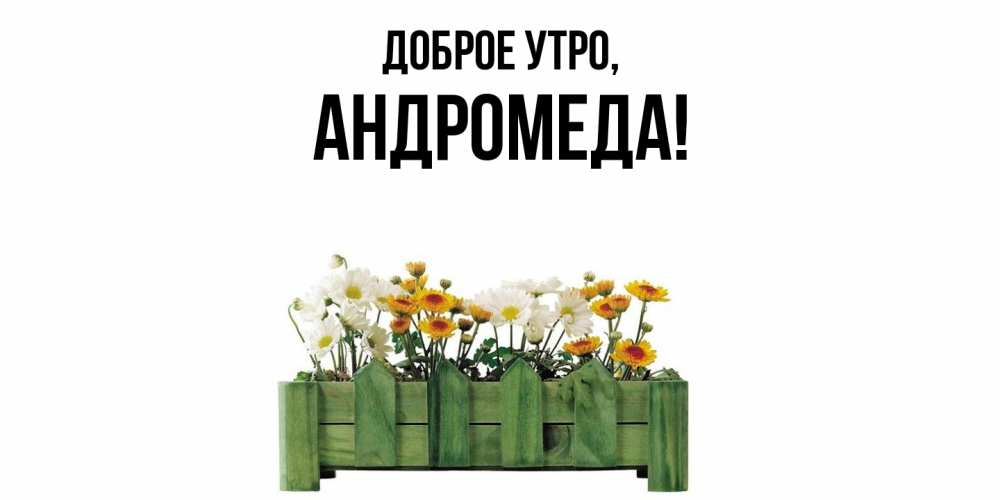 Открытка  для любимых и родных. андромеда, Доброе утро  