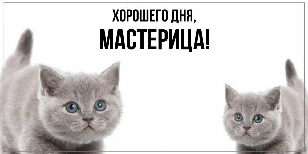 Открытка  для любимых и родных. мастерица, Хорошего дня  