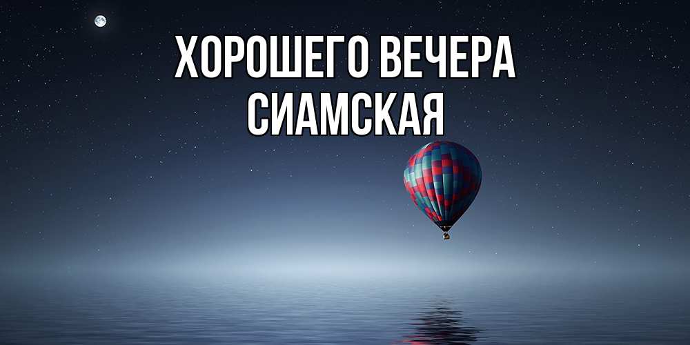 Картинка Хорошего вечера, сиамская