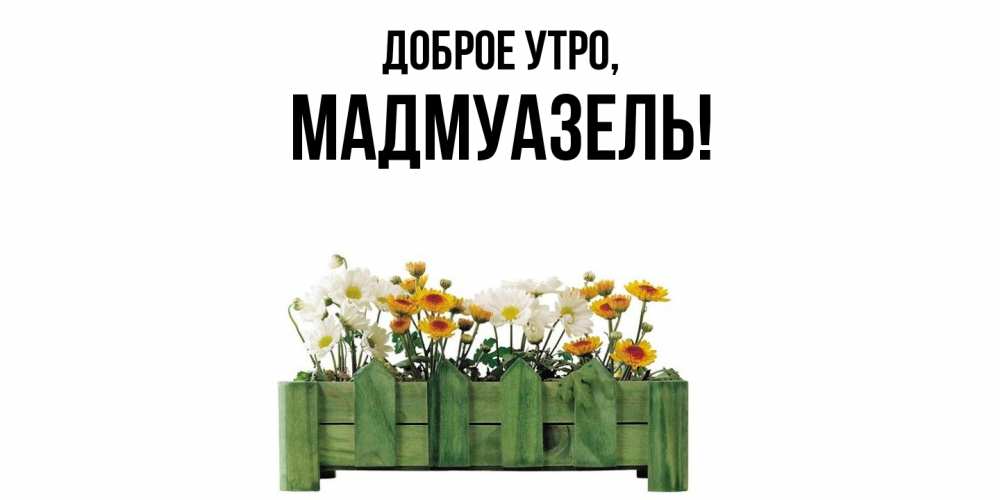 Открытка  для любимых и родных. мадмуазель, Доброе утро  