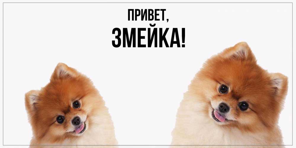 Открытка с именем, змейка, Привет