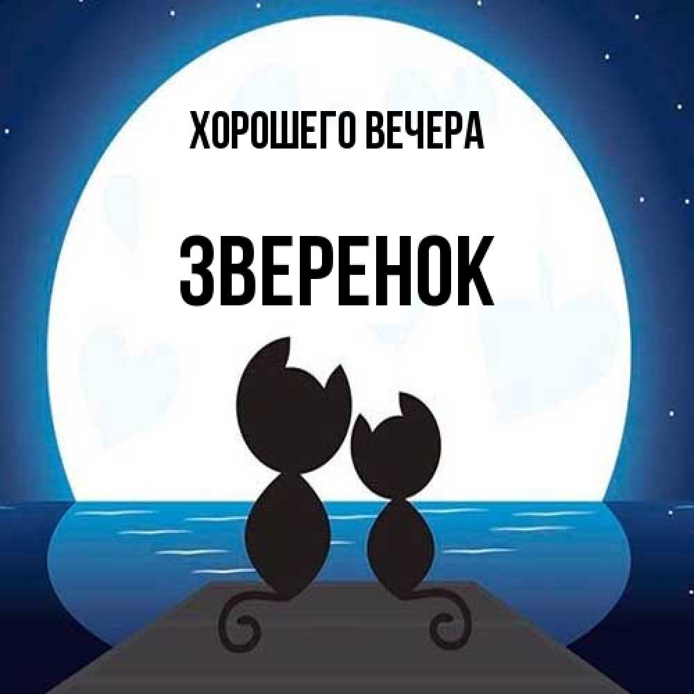 Открытка  для любимых и родных. звеpенок, Хорошего вечера  