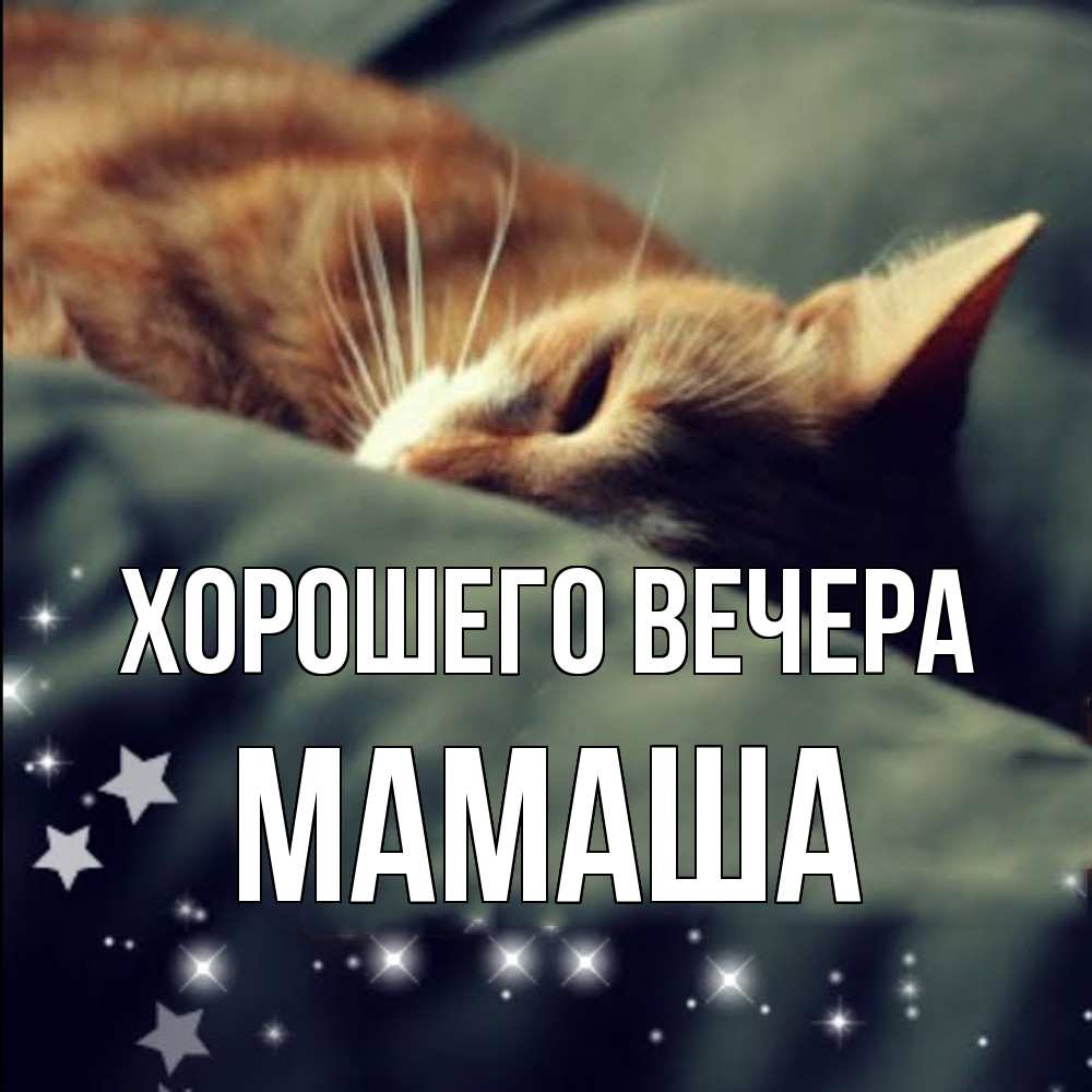 Открытка  для любимых и родных. Мамаша, Хорошего вечера  