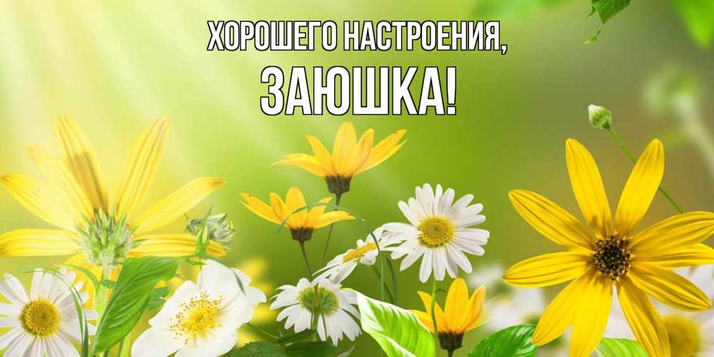 Открытка  для любимых и родных. заюшка, Хорошего настроения  