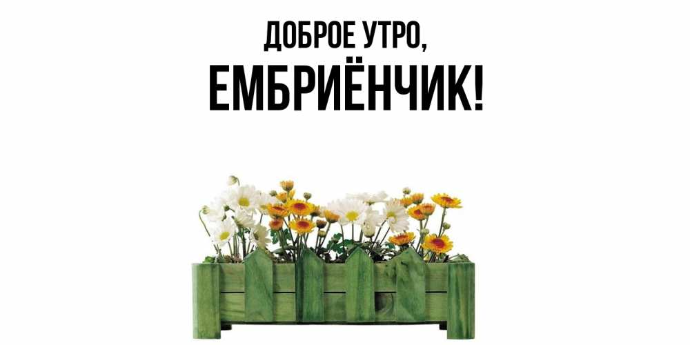 Открытка  для любимых и родных. ембриёнчик, Доброе утро  