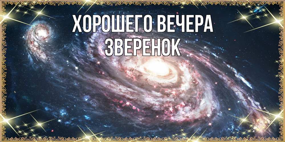 Открытка  для любимых и родных. звеpенок, Хорошего вечера  