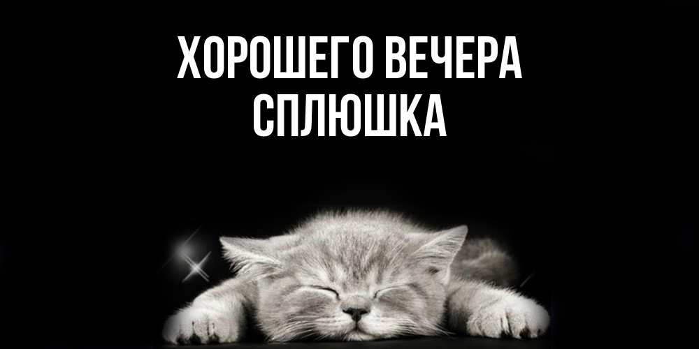 Открытка  для любимых и родных. сплюшка, Хорошего вечера  