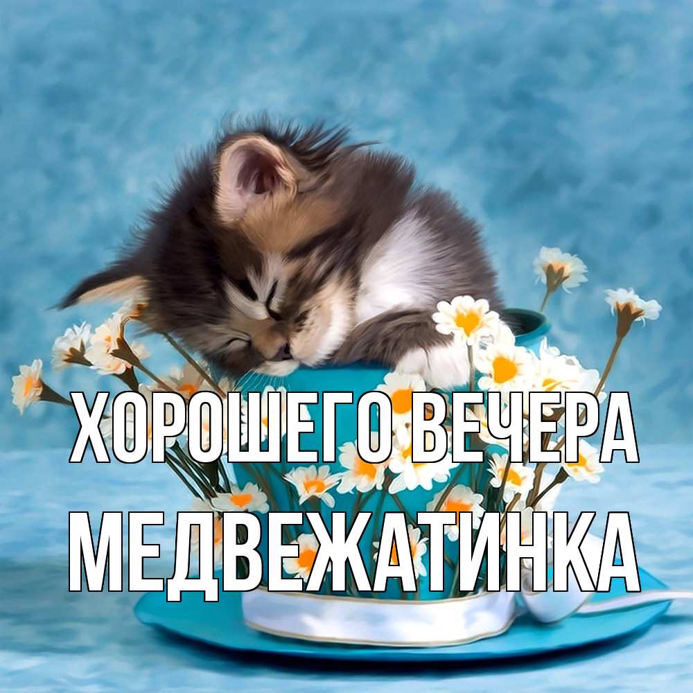 Открытка с именем, медвежатинка, Хорошего вечера