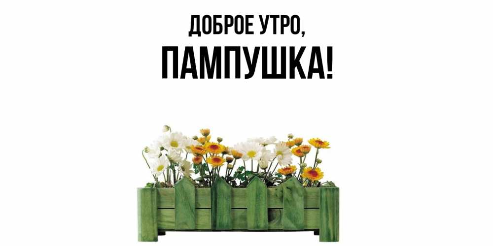 Открытка  для любимых и родных. пампушка, Доброе утро  