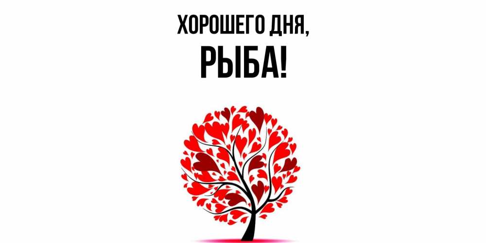 Открытка  для любимых и родных. рыба, Хорошего дня  