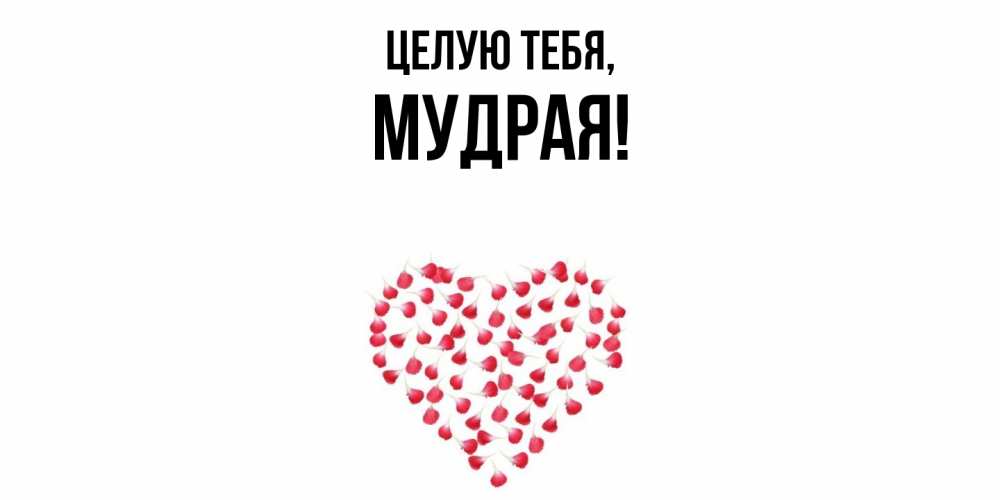 Картинка Целую тебя, мудрая