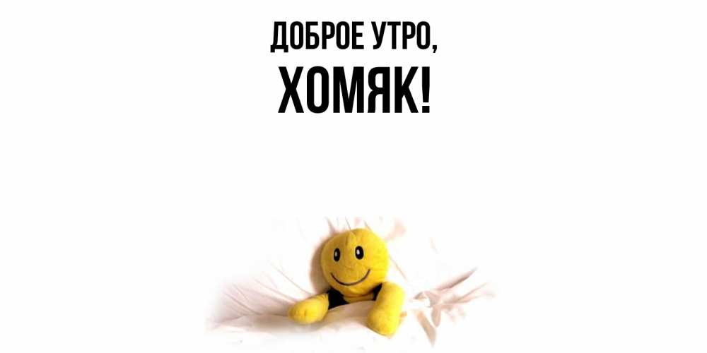 Открытка  для любимых и родных. хомяк, Доброе утро  