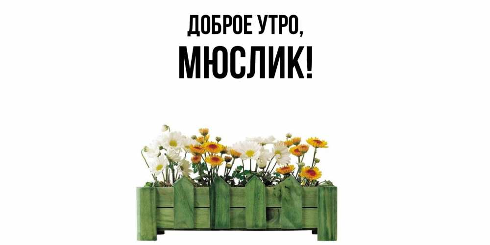 Открытка  для любимых и родных. мюслик, Доброе утро  