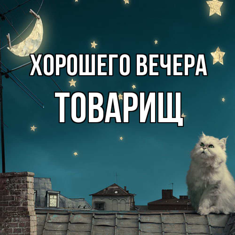 Картинка Хорошего вечера, Товарищ