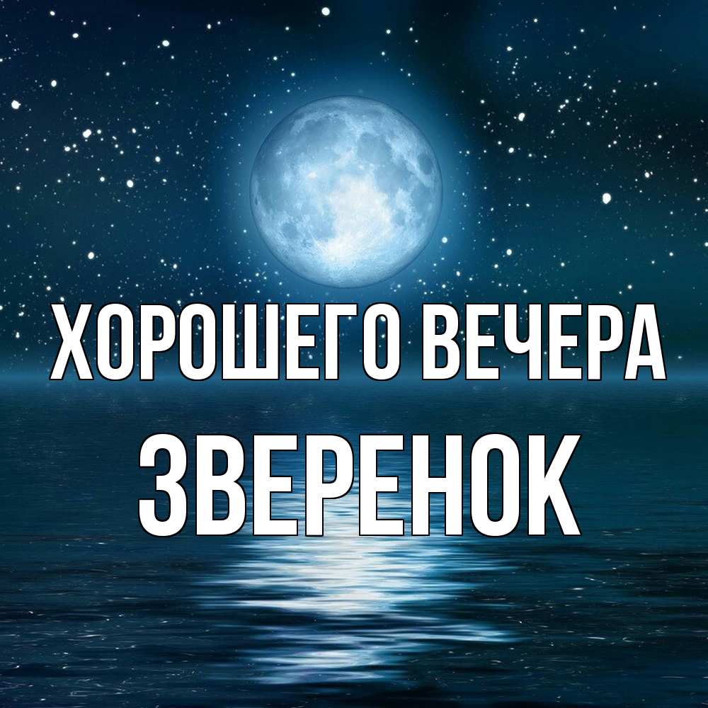 Картинка Хорошего вечера, звеpенок