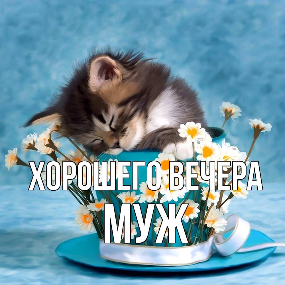 Картинка Хорошего вечера, Муж