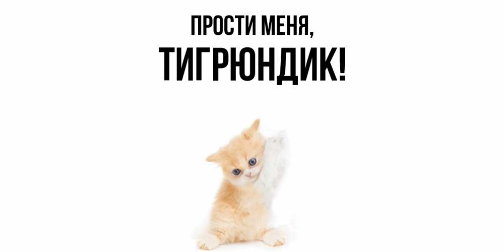 Открытка  для любимых и родных. тигрюндик, Прости меня  