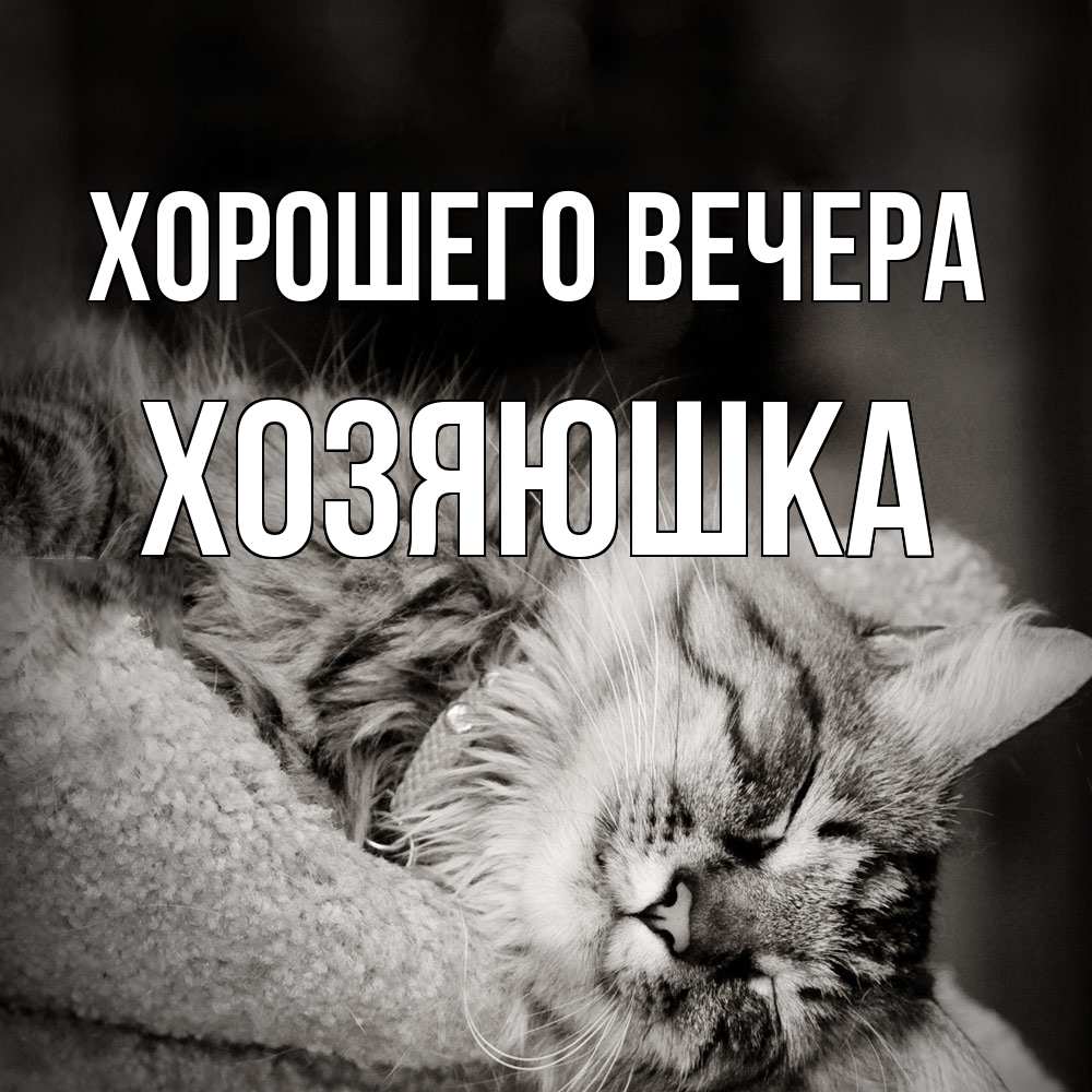 Картинка Хорошего вечера, хозяюшка
