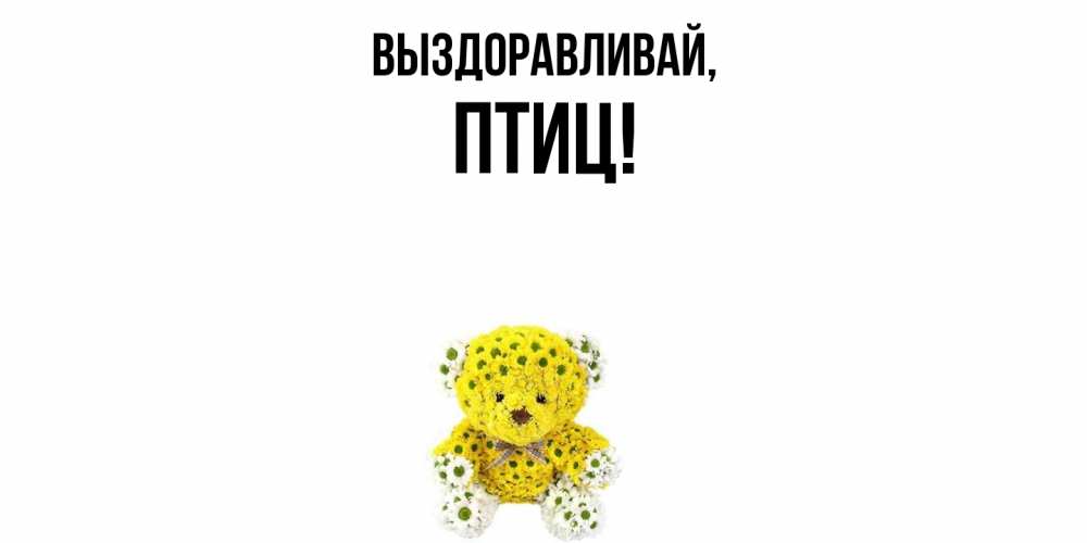 Открытка  для любимых и родных. птиц, Выздоравливай  