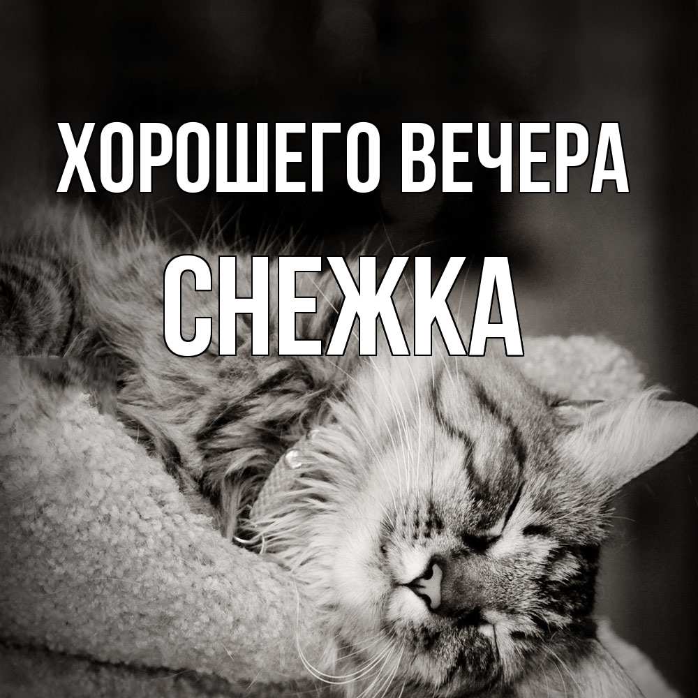 Открытка  для любимых и родных. снежка, Хорошего вечера  