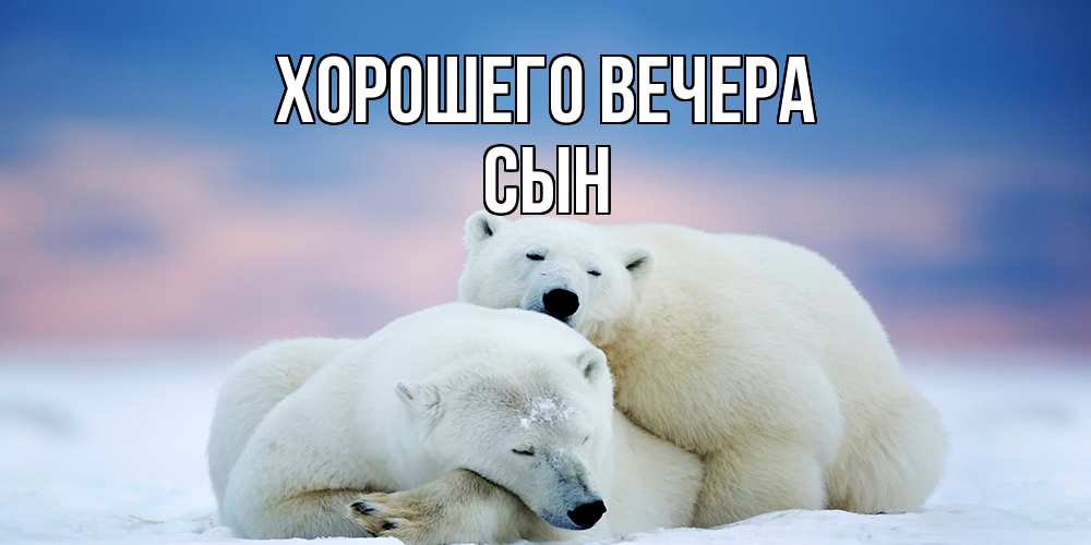 Картинка Хорошего вечера, Сын