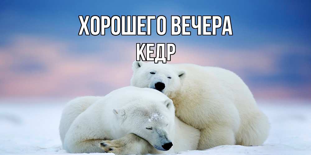 Картинка Хорошего вечера, кедр