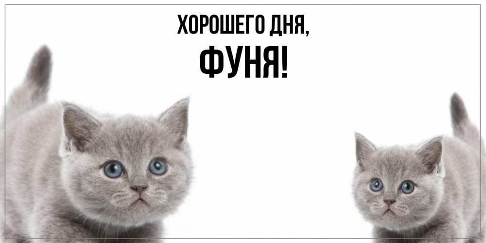 Открытка  для любимых и родных. фуня, Хорошего дня  
