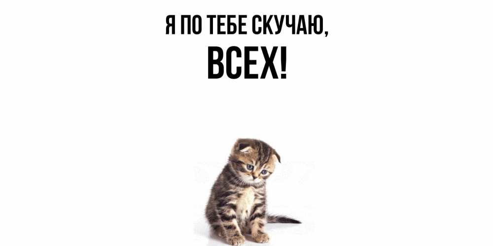 Картинка Я по тебе скучаю, всех