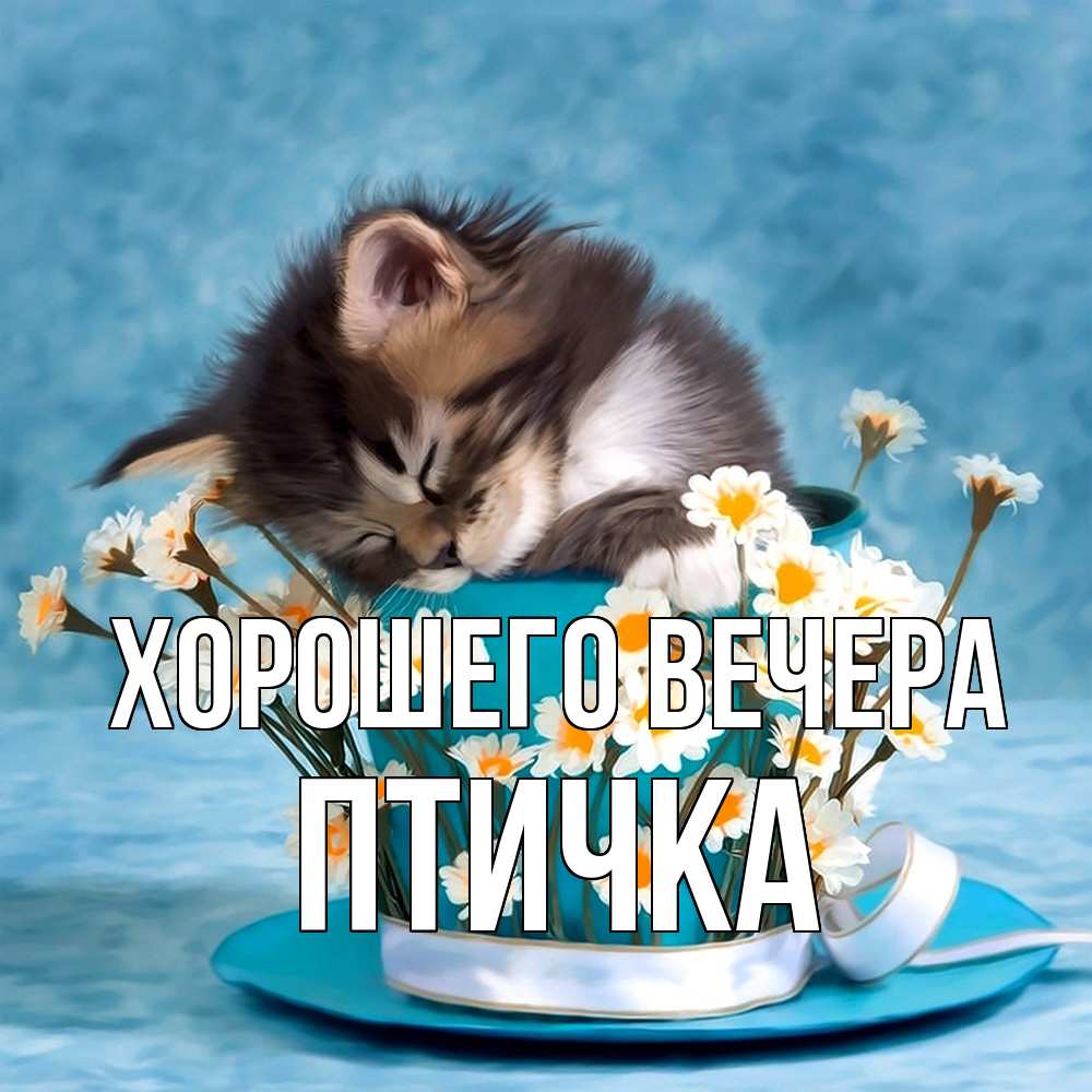 Картинка Хорошего вечера, птичка