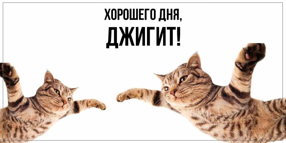 Открытка  для любимых и родных. джигит, Хорошего дня  