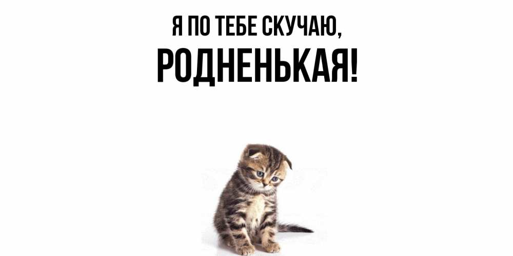 Открытка  для любимых и родных. родненькая, Я по тебе скучаю  