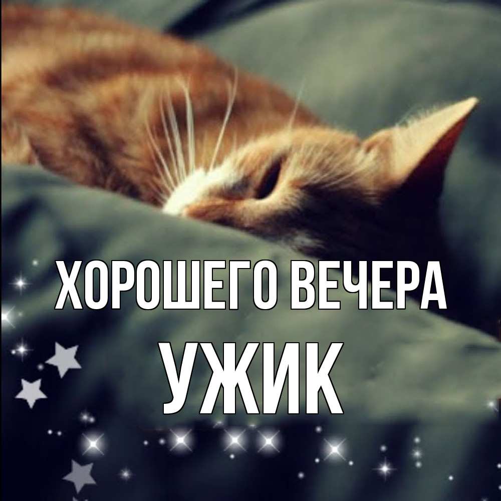 Открытка  для любимых и родных. ужик, Хорошего вечера  