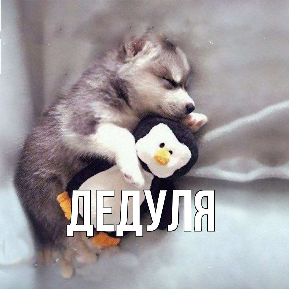 Картинка  с именем , Дедуля