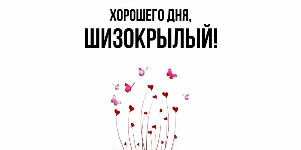 Открытка  для любимых и родных. шизокрылый, Хорошего дня  