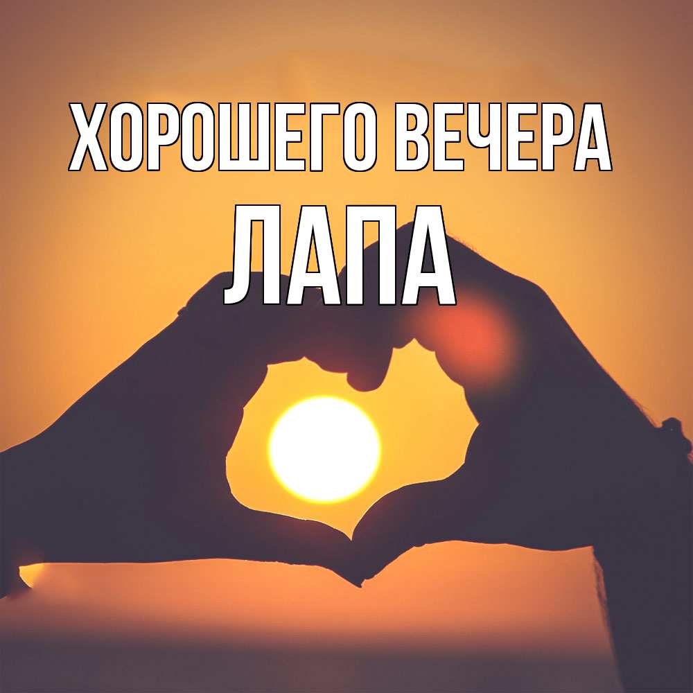 Открытка  для любимых и родных. лапа, Хорошего вечера  