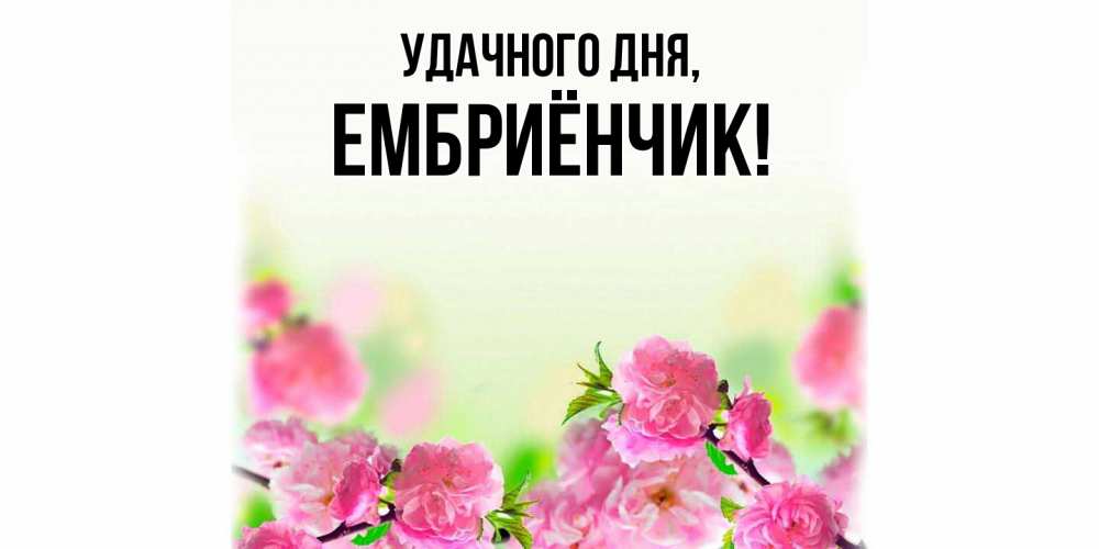 Открытка  для любимых и родных. ембриёнчик, Удачного дня  
