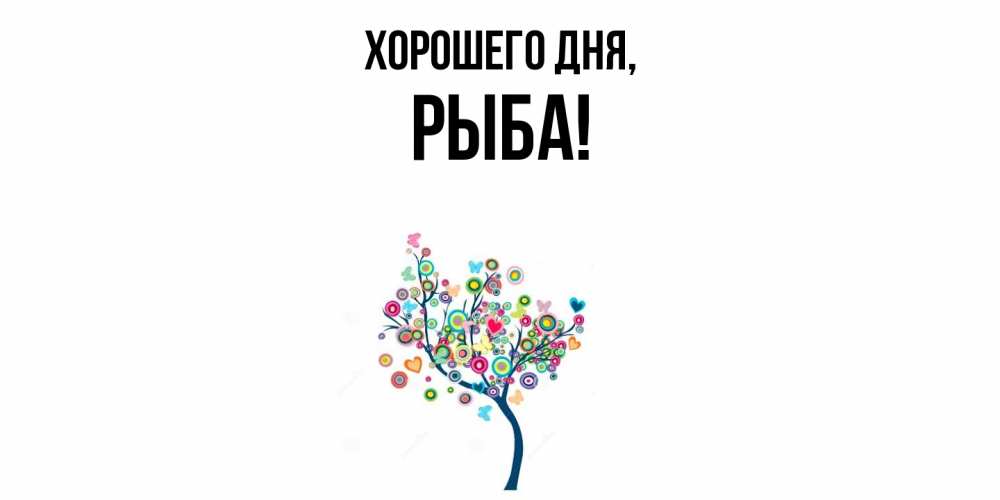 Открытка  для любимых и родных. рыба, Хорошего дня  