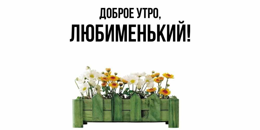Картинка Доброе утро, любименький