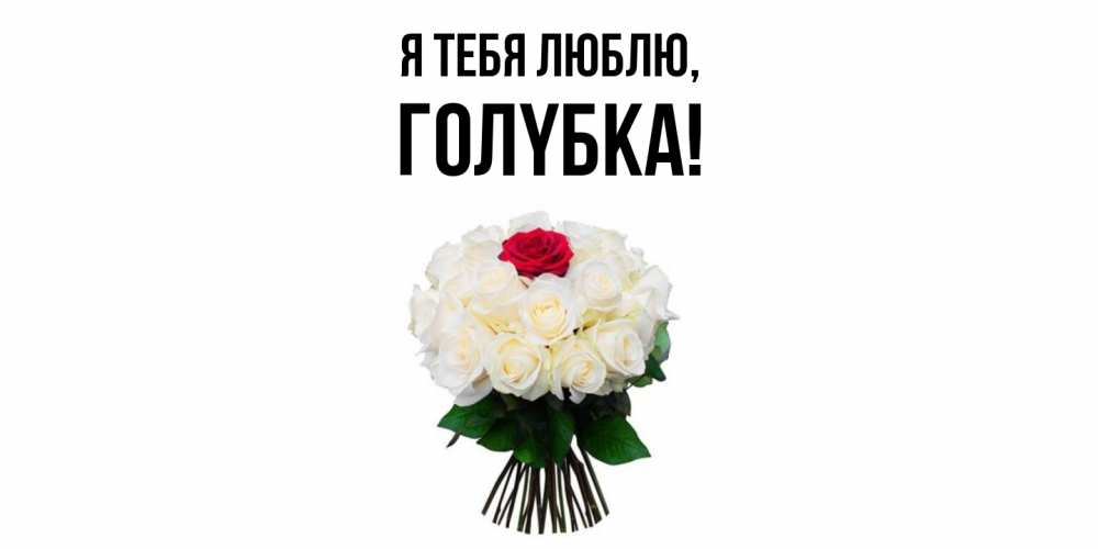 Открытка  для любимых и родных. голyбка, Я тебя люблю  