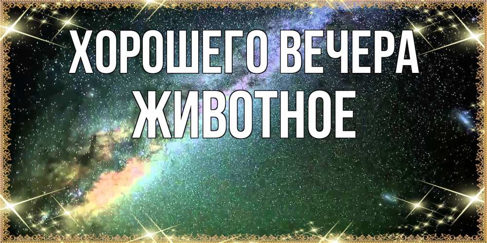 Картинка Хорошего вечера, животное