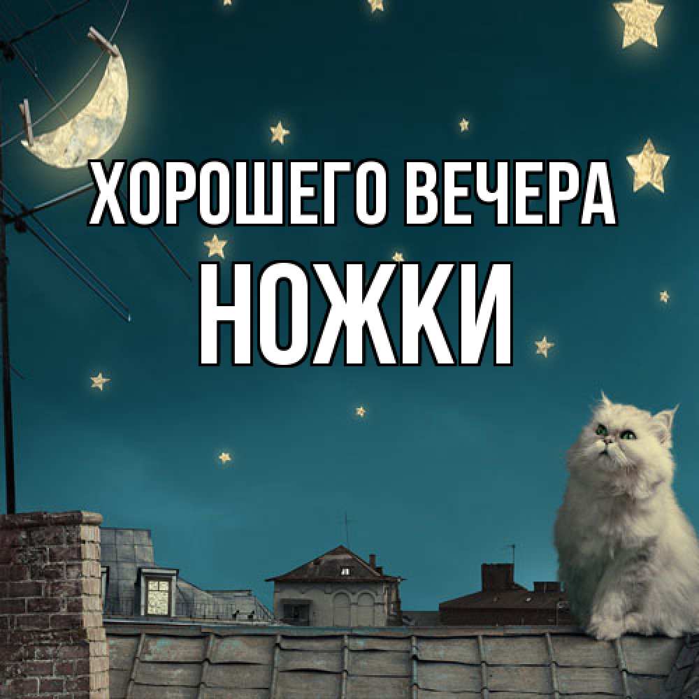 Картинка Хорошего вечера, ножки
