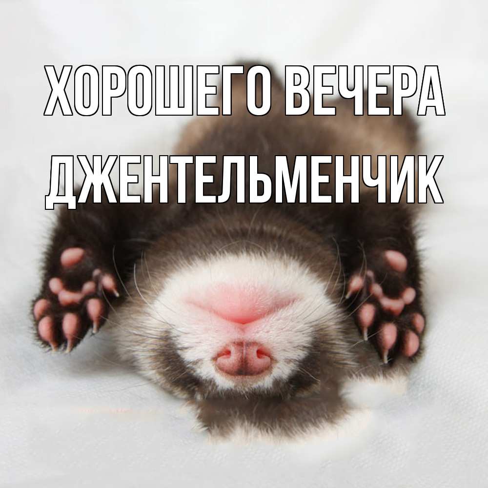 Открытка с именем, джентельменчик, Хорошего вечера