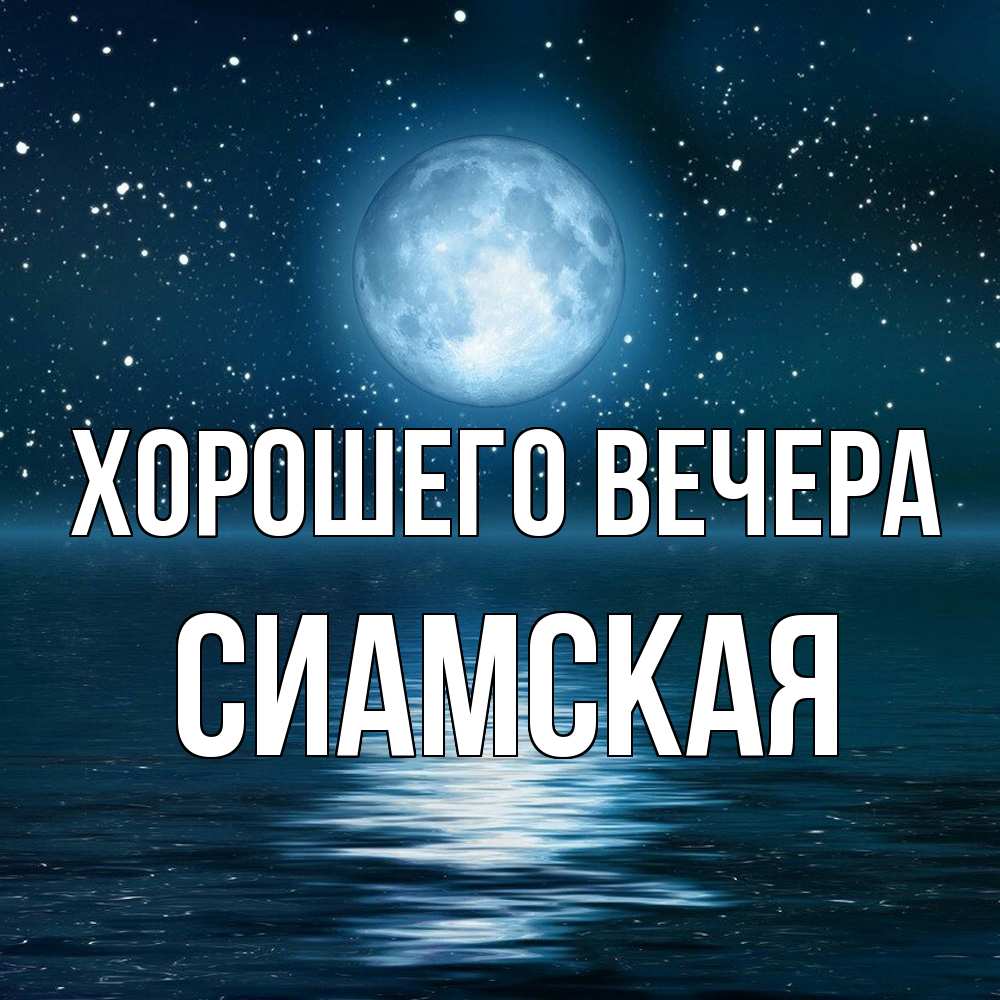 Картинка Хорошего вечера, сиамская