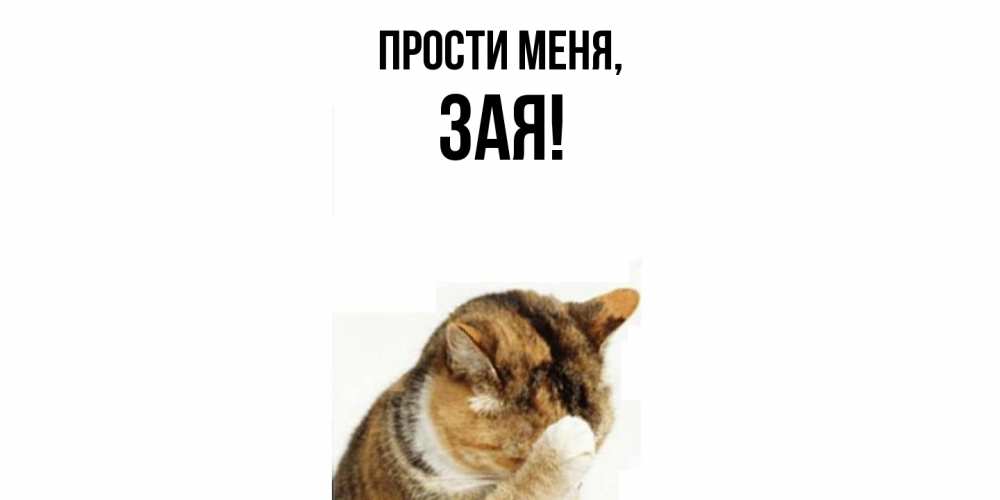 Открытка  для любимых и родных. зая, Прости меня  