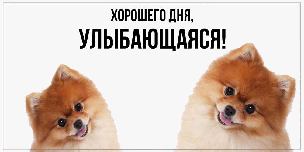 Открытка  для любимых и родных. улыбающаяся, Хорошего дня  