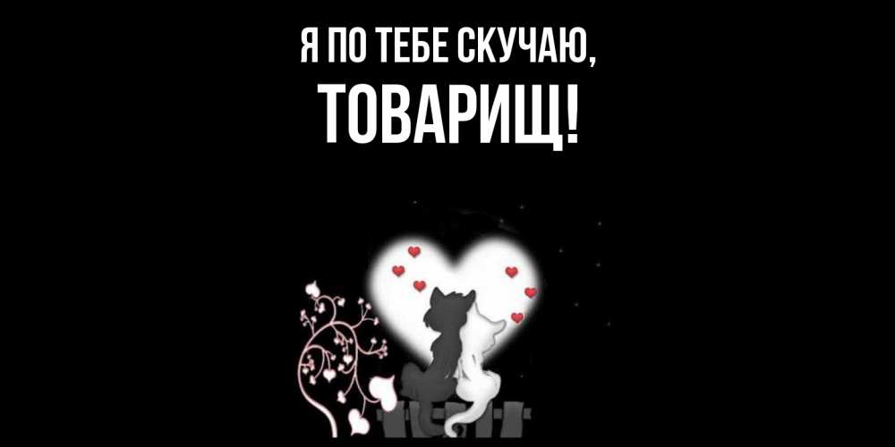 Картинка Я по тебе скучаю, Товарищ