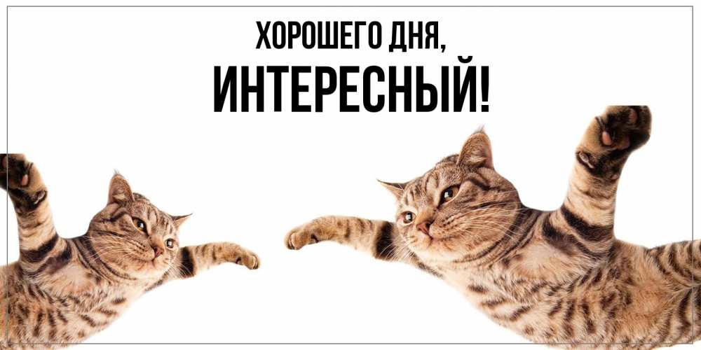 Открытка  для любимых и родных. интересный, Хорошего дня  