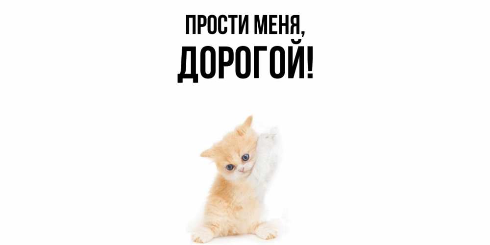 Открытка  для любимых и родных. дорогой, Прости меня  